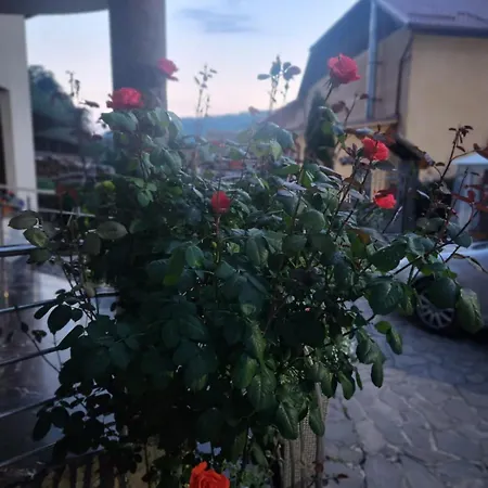 Villa Perla Nordului *