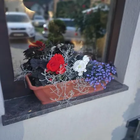 Perla Nordului Villa Moisei