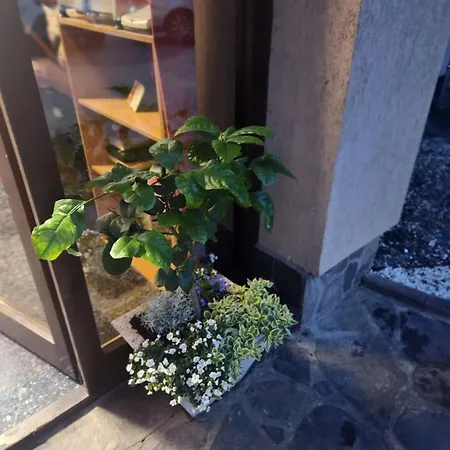 Villa Perla Nordului Moisei
