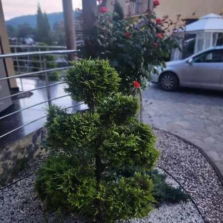 Villa Perla Nordului Moisei